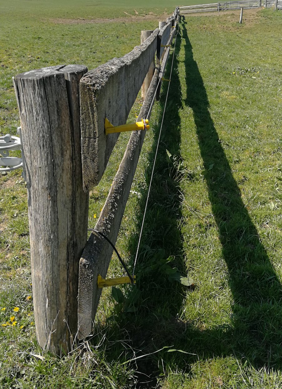 Zaun aus Holz, für Kälber