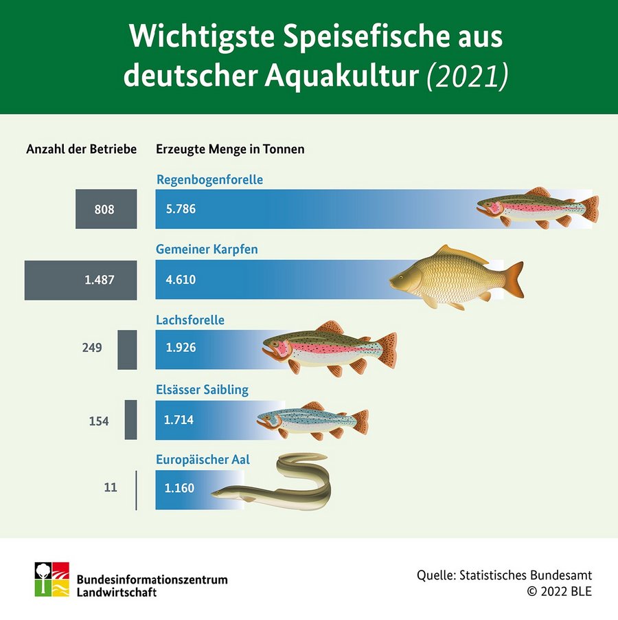Infografik Anteile Speisefische aus Aquakultur